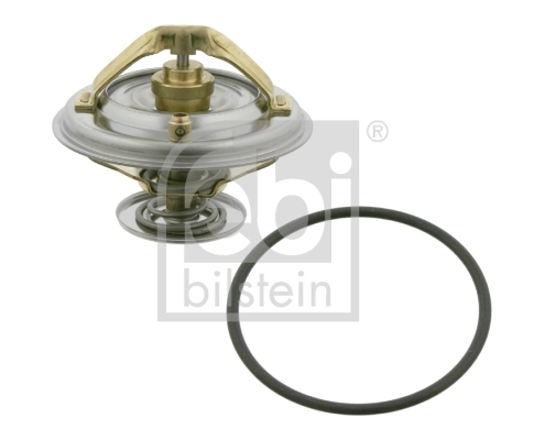 Thermostat, coolant